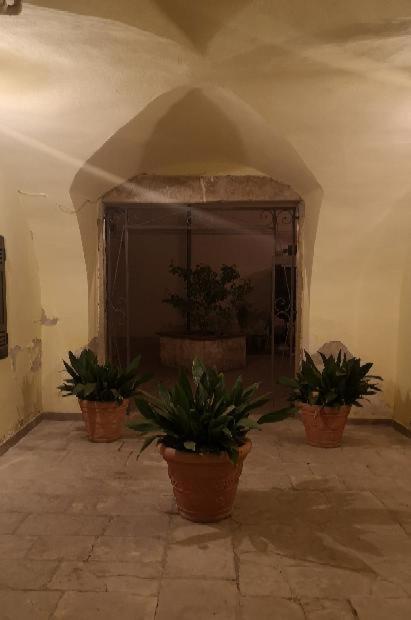 Les Maisons Coco Trani Εξωτερικό φωτογραφία